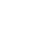 Rhisa